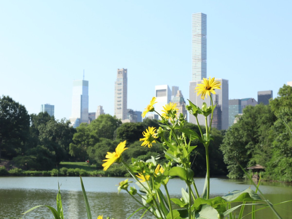 July 13, 2026 – Central&nbsp;Park