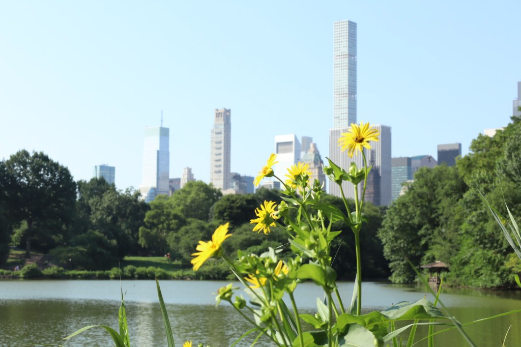 July 13, 2026 – Central&nbsp;Park
