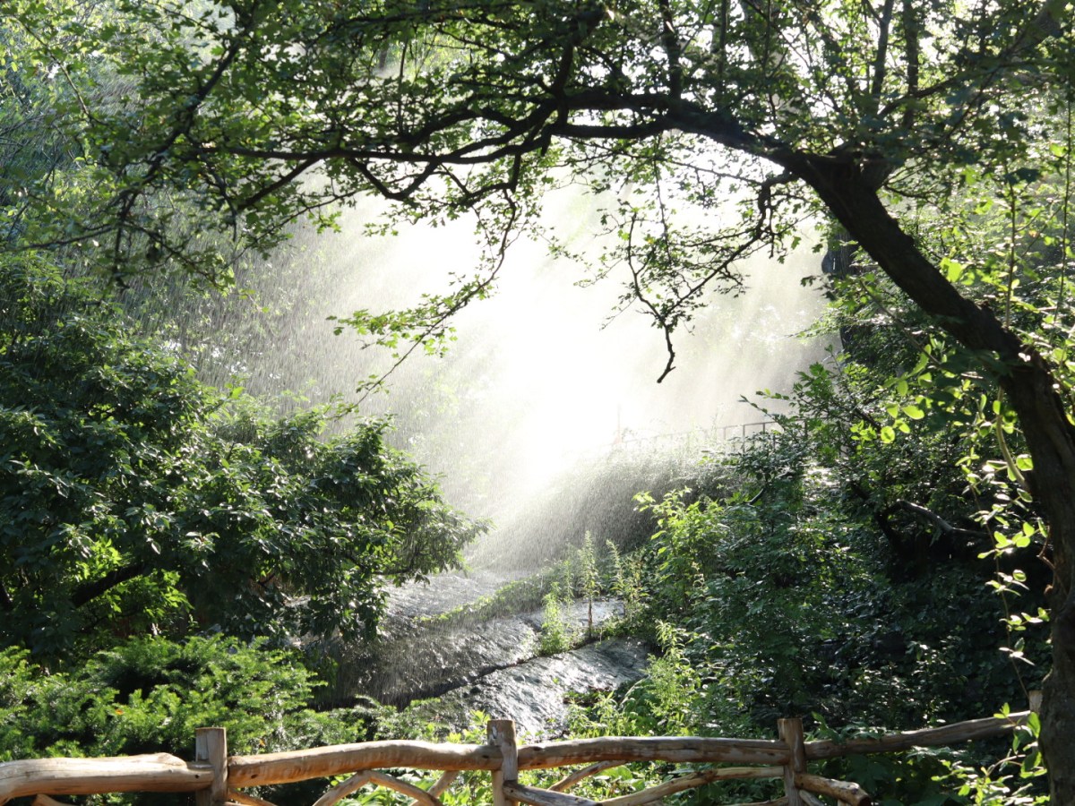 July 14, 2026 – Central&nbsp;Park