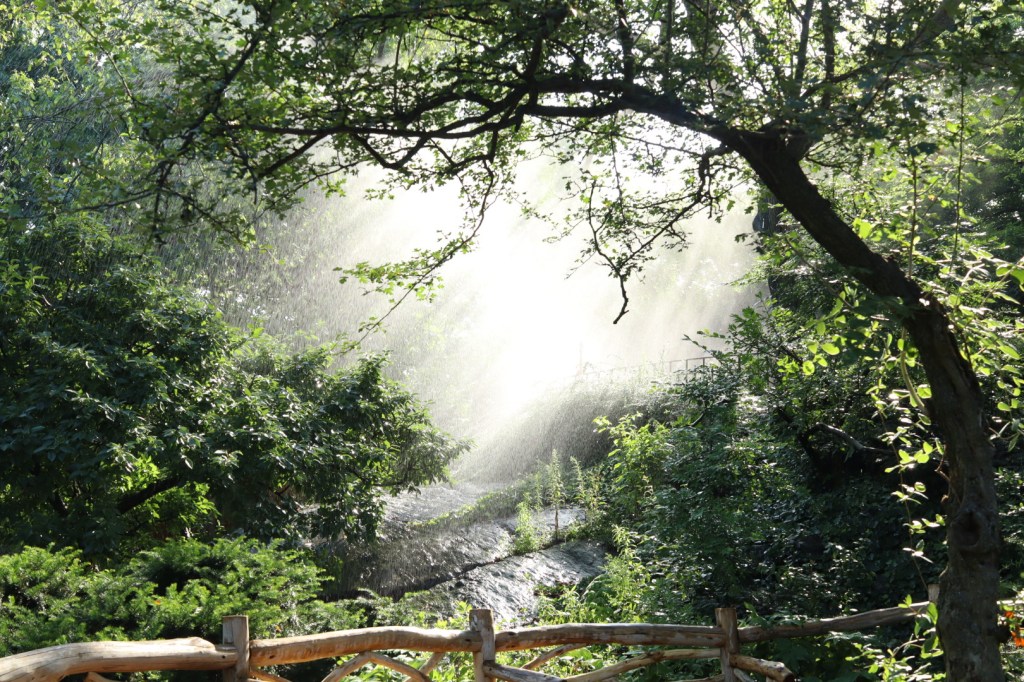July 14, 2026 – Central&nbsp;Park
